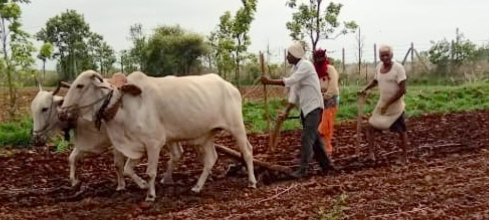 Planting Seeds of Hope