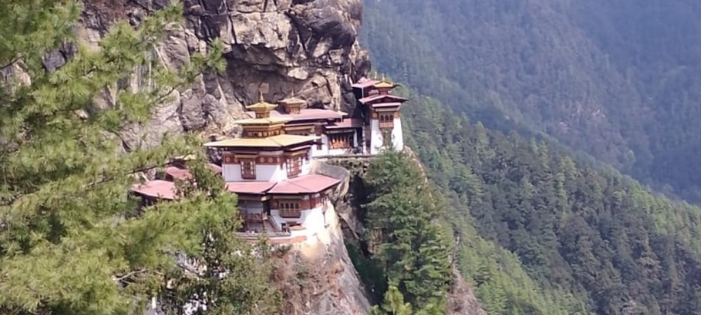 Finding True Happiness and Peace in South Asia